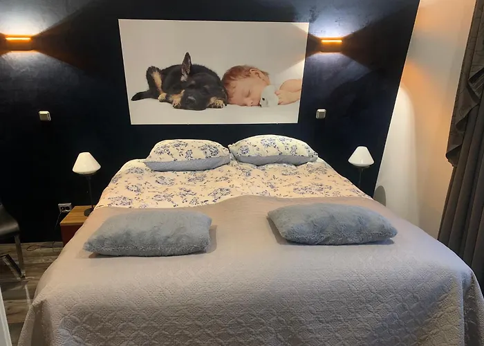 Amsterdam Countryside Met Airco ,Geweldig Uitzicht, Luxe Keuken,Wasmachine,Droger,Gratis Fietsen Lägenhet Den Ilp foto