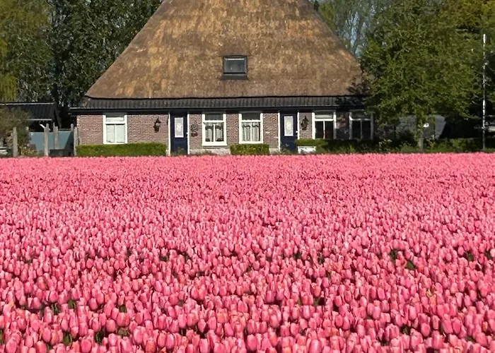 B&B Idylle Aan Zee Incl 2 Wellnessstudios Sint Maartensvlotbrug 사진